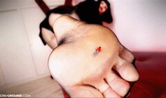 Trapped Inside My Nylons - Mobile