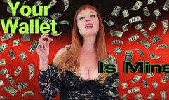 Your Wallet Is Mine WMV SD