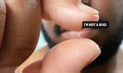 Shrunken Friends Mistaken For Bugs