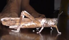 Italian girlfriend - Fake handmade locust barefoot crush