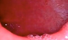 Empty Stomach Full Stomach - Digestion of meat in fullscreen 1080HD