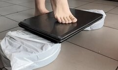Laptop crush fetish