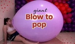Blow to popping Giant 40" Pic Pic By Riberball With Alice - 4K