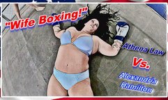 Wife Boxing! WMV