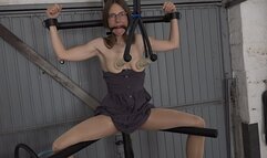 Milking and fisting ( 720p wmv )