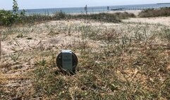 summer buttcrush on the beach 2023