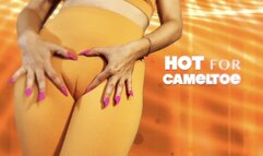 HOT for CAMELTOE