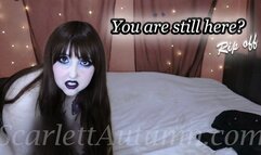 You are still here? - WMV HD 1080p