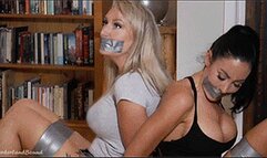 Rachel & Mila in: By Appointment Only: Busty GhostHunter Amazon Quickly Discovers All is Not as it Seems at GoldFinch Manor! (WMV)