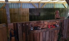 Pony dressage in the stable and on the meadow