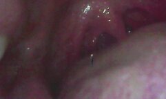 Teenie Boyfriend Bounces around in Giantess Girlfriend Sexy Giant mouth 1080