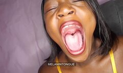 Big Big Yawns Non Stop