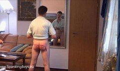 ANGEL DARK in the MIRROR