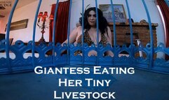 Giantess Eating Her Tiny Livestock