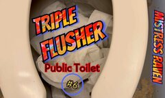 TRIPLE FLUSHER - PUBLIC TOILET