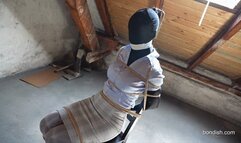 ZENTAI SECRETRARY: SILENCED WITNESS