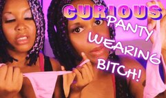 Curious Panty Wearing Bitch