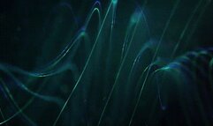 Underdesk Feet *wmv*