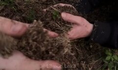 digging with bare hands