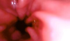 Shrunken inside my mouth and inside my stomach 1080HD