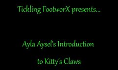 Ayla Aysels Introduction to Kittys Claws