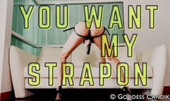 You want My strap on mp4