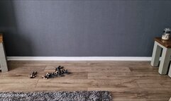 Country Boots Walk the Plant - All Over Tiny Men