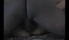 KsSunflwr, 2nd BBC encounter part 2