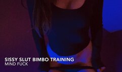 Bimbo Sissy Slut Training 1 Mind Fuck USE HEADPHONES