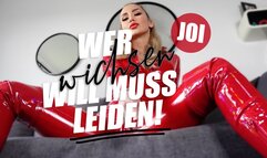 JOI Wer wichsen will, muss leiden!