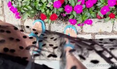 Flowers and Feet, 2 sandals, toes and arches tease, Hungarian milf feet