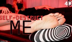 Self-Destruct for ME - 4K