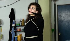 Unsuccessful Thief (M4V 4K) - Ramona Vixen