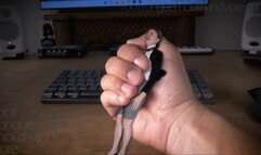 The Tiny Handheld Schoolgirl