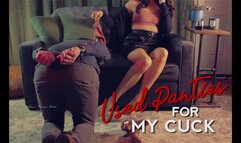 Used Panties for my Cuck