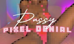 PUSSY PIXEL DENIAL