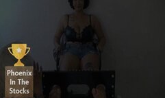 Phoenix In The Stocks (Small)