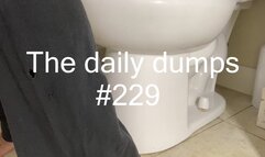 The daily dumps #229