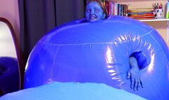 Emotional Support Blueberry (pov) - Cuddle Berries