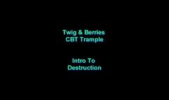 Intro To Destruction