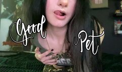 Good Pet