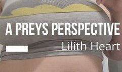 A Prey's Perspective