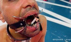 CUCKOLD HUMAN ASHTRAY