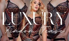 Luxury Lingerie Findom Tease