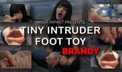 Tiny Intruder Foot Toy