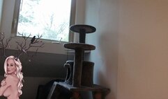 Impregnation Fantasy - Begging For Cum