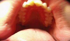 The Dirty Little Secret Ch 2