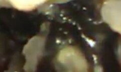 Vore Digestion Sushi Restaurant Video - Full Exploration Pillcam Video 1080HD