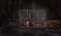 Boudage and Fucked by Dildo in the Cage
