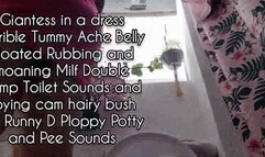 Avi Giantess in a dress Terrible Tummy Ache Belly Bloated Rubbing and moaning Milf Double Dump Toilet Sounds and spying cam hairy bush milf Runny D Ploppy Potty and Pee Sounds